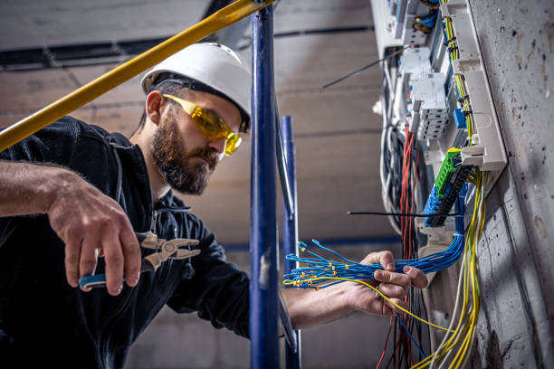 Best Electric Panel Repair  in Clinton, SC